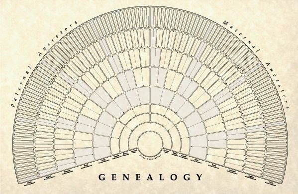 Pedigree Charts 2